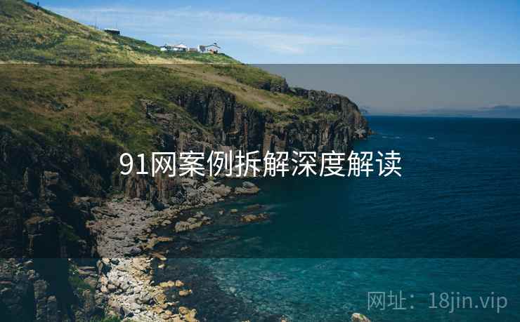 91网案例拆解深度解读