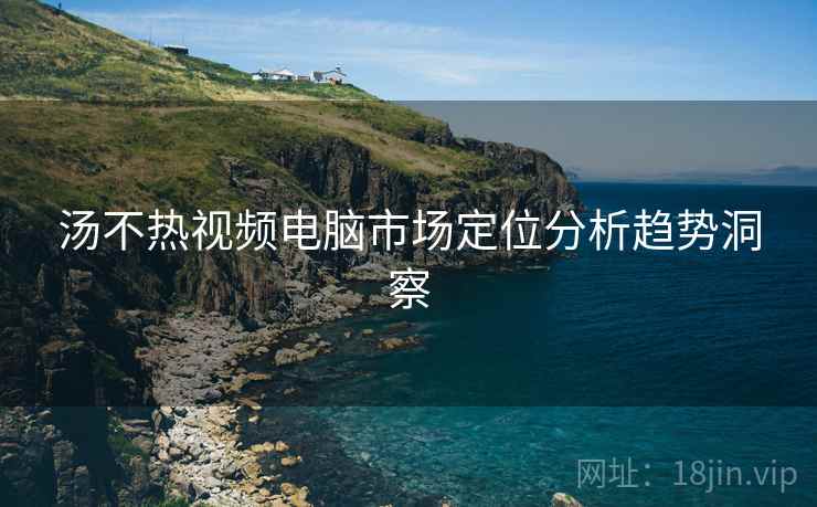 汤不热视频电脑市场定位分析趋势洞察