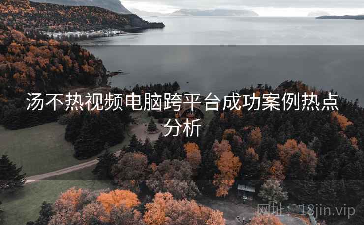 汤不热视频电脑跨平台成功案例热点分析