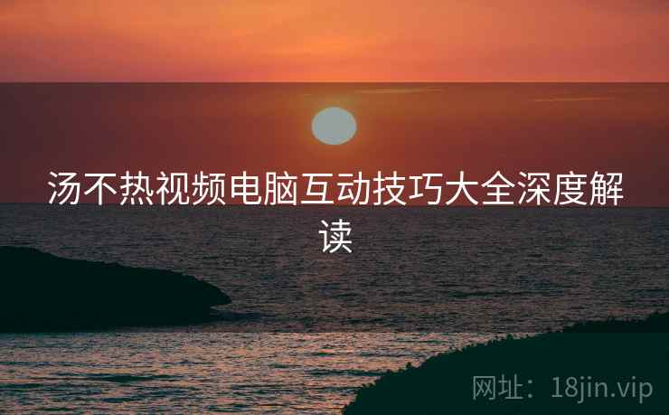 汤不热视频电脑互动技巧大全深度解读
