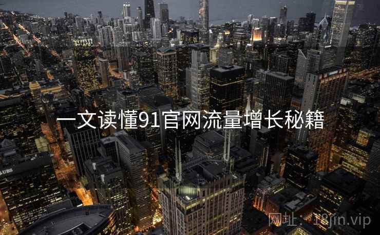 一文读懂91官网流量增长秘籍