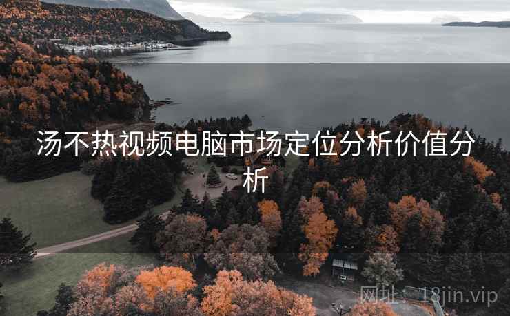 汤不热视频电脑市场定位分析价值分析