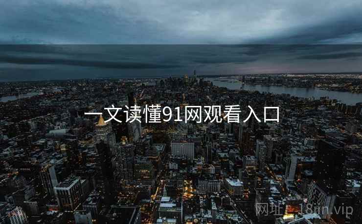 一文读懂91网观看入口