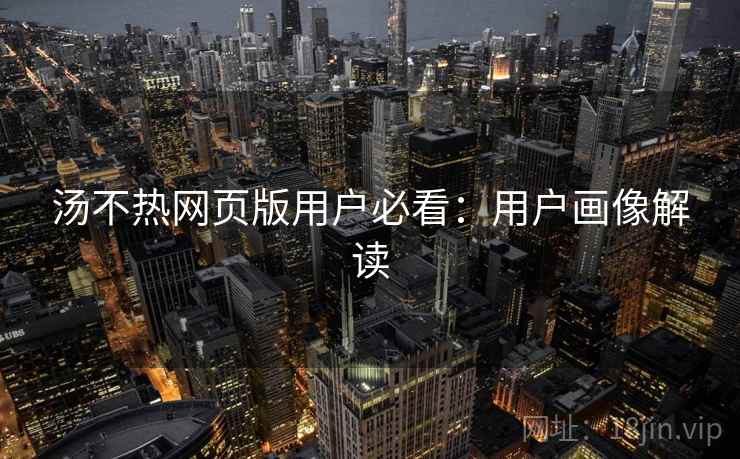 汤不热网页版用户必看：用户画像解读