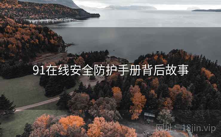 91在线安全防护手册背后故事