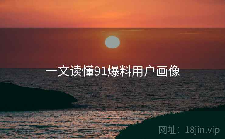 一文读懂91爆料用户画像