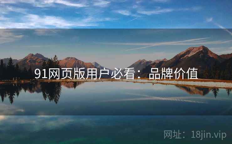 91网页版用户必看：品牌价值