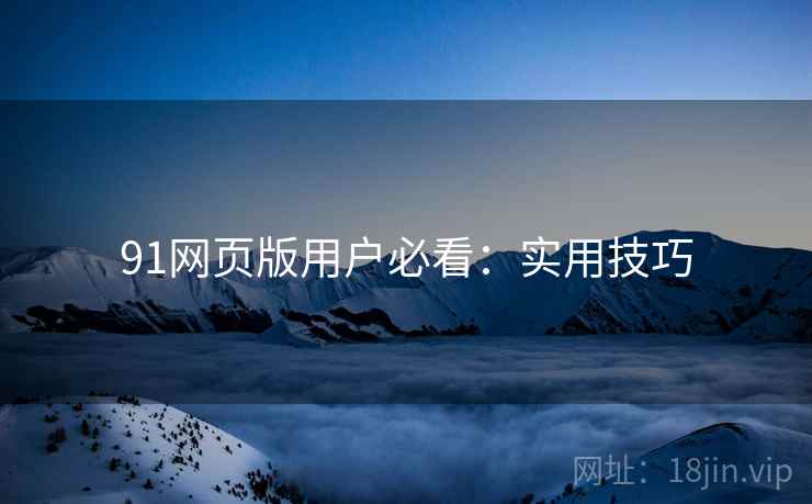 91网页版用户必看：实用技巧