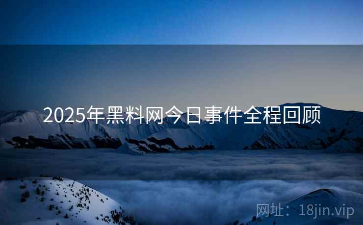 2025年黑料网今日事件全程回顾