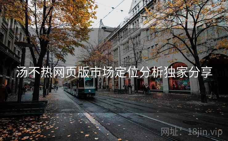 汤不热网页版市场定位分析独家分享