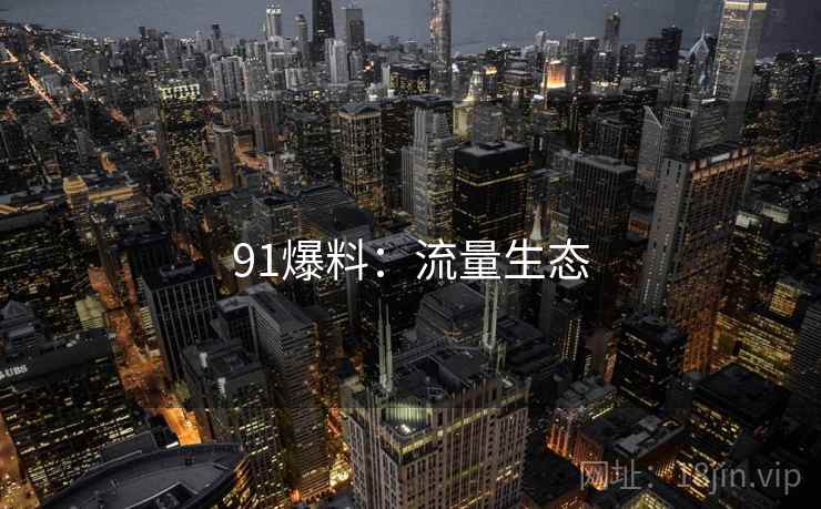 91爆料：流量生态