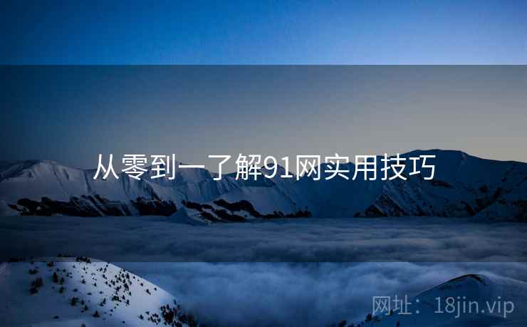 从零到一了解91网实用技巧