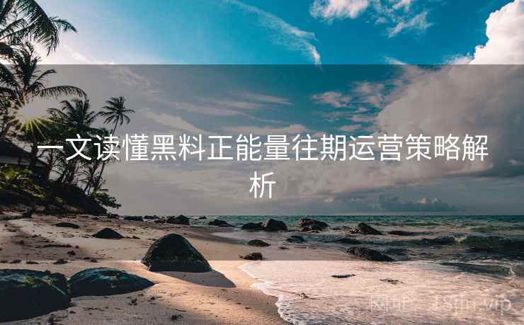 一文读懂黑料正能量往期运营策略解析